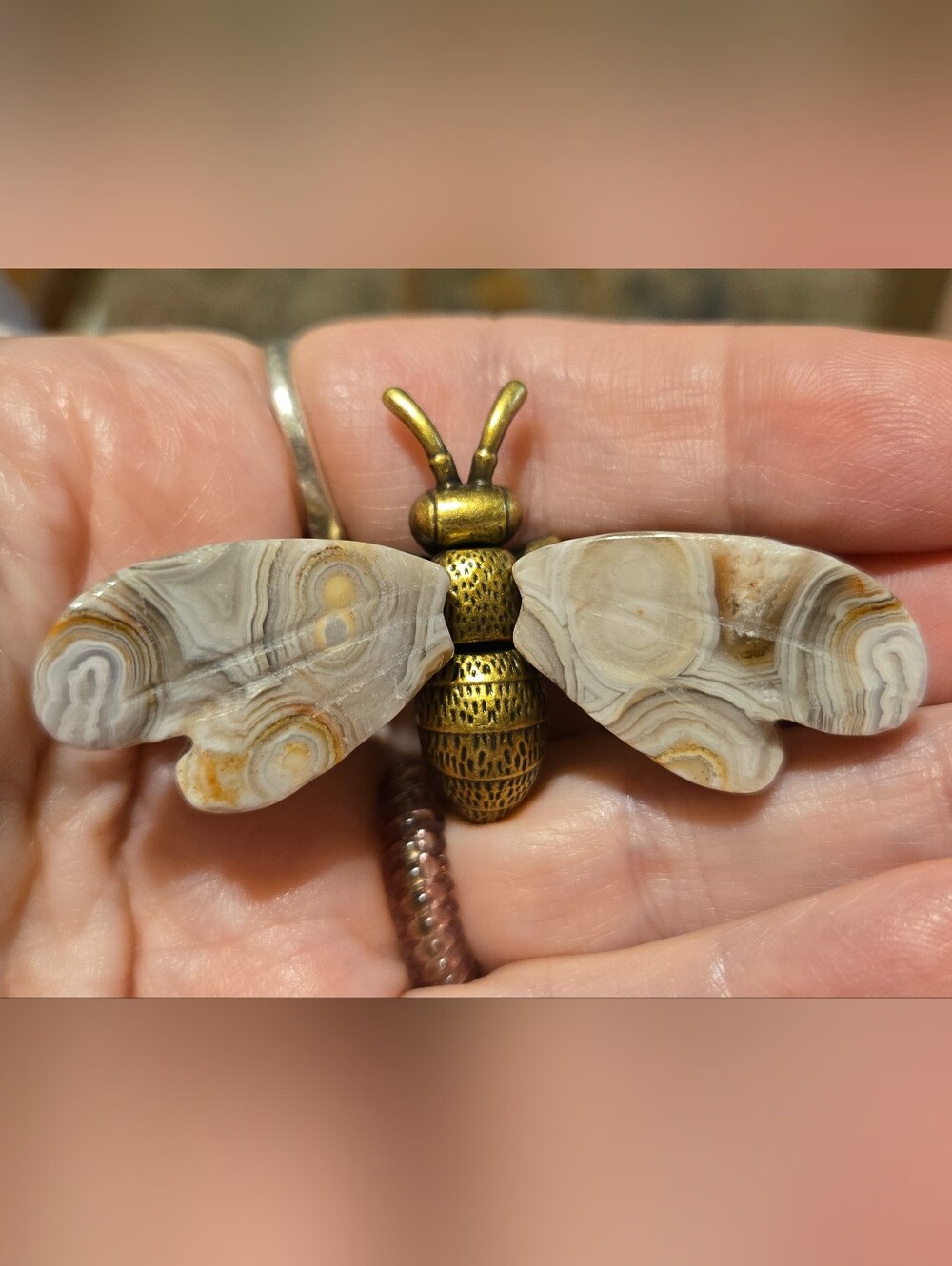 Crazy Lace Agate and Brass Bee Home Decor